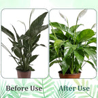 Grevosea 10 Pack Plant Support Stakes, Stackable Monstera Plant Supports for Indoor Outdoor Plants Garden Stakes Trellis for Climbing and Potted Plants Pothos Flowers