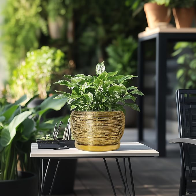 SQOWL Ceramic Flower Pot - 8 Inch Plant Pot Indoor Outdoor, Round Planter with Drainage Hole and Saucer, Decorative Modern Planter, Home Decor, Plant Lovers Gifts, Gold