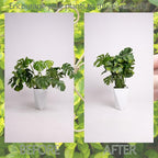 Monstera Plant Stem Support Set of 5 - Durable 7.5in Indoor Stabilizers for Fishbone Cactus - Enhances Growth & Home Decor - Ideal Plant Care Solution
