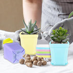 OJYUDD 24 Pack Multi Color Plastic Plant Pot,Colorful Plastic Square Pots,Mini Plastic Square Planters for Indoor Outdoor Plants Flowers,Garden,Office,Home Decor,with Pallet