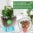 Self Watering Pots Set, 3 Pack 5/4.1/2.7 Inch Self Watering Pot for Indoor Plants, Clear Flowers Pot Planter with Deep Reservoir for Spider Plant, Orchid, African Violet