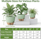 Plant Pots, 12" 10" 6" 8" Inch Self Watering Pots with Water Level Indicator, Set of 5 Flower Pots Indoor with Drainage Holes, Modern Planters for Indoor Outdoor Plants, Room & Office Décor