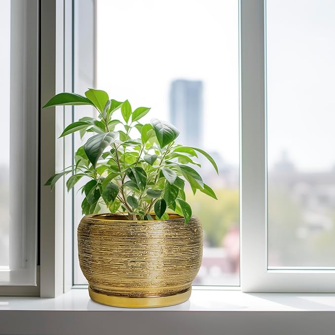 SQOWL Ceramic Planter for Indoor Plants - 10 Inch Plant Pot with Drainage Hole and Saucer, Modern Round Planter Outdoor, Large Decorative Flower Pot, Apartment Decor, Birthday Gifts, Gold