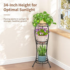 LASZOLA Black 3 Tier Tall Plant Stand for Indoor Outdoor, Large Multiple Level Flower Planter Holder Organizer Rack for Patio Office Bathroom Corner Floor, Sturdy Heavy Duty Metal, Vertical Display