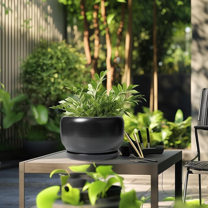 SQOWL Ceramic Flower Pot - 10 Inch Planter with Drainage Hole and Saucer, Modern Large Plant Pot Indoor Outdoor, Decorative Round Planter, Bedroom Decor, Gifts for Plant Lovers, Black