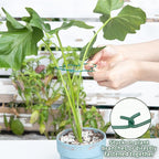 Monstera Plant Stem Support - 4.13 x 2.95 Inches 5 Pack Durable Leaf Holder for Climbing Plants, Ideal for Monstera & Vining Plants, Elegant Design for Plant Lovers