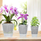 Cdd's Path 6-Pack Bare Root Planter Self Watering Pots Set with Holes for Indoor/Outdoor Plants, 2 Each of 5, 6 and 7 Inch Planter Pot with Watering Hole/Reservoir and Air Pipes, Clear