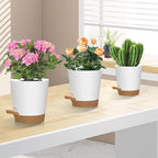 Self Watering Pots, 7/6.5/6/5.5/5/4 inch Flower Pots with Multi Mesh Drainage Holes, Small Platic Planters for Indoor Outdoor Garden Plants and Flowers (Whtie with Brown Tray, 7"+6.5"+6"+5.5"+5"+4")
