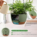 Hanging Planters for Indoor Plants, Set of 2 8/10 Inch Self-Watering Hanging Pots with Drainage Hole & Removable Water-Storage Tray II Screw-in Hooks