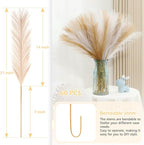 Artificial Pampas Grass Stems, 60 Pcs, Brown and White, 21.7 Inch
