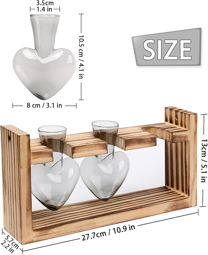 Terrarium Set with 3 Heart Shaped Glass Vases and Wood Stand