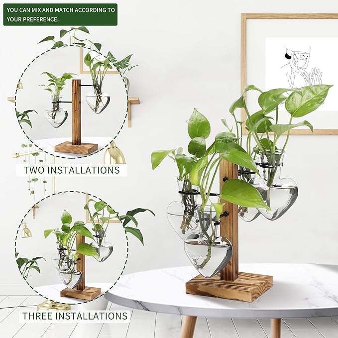 Terrarium Heart Glass Planter Set with Wood Stand and 4 Hangers