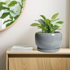 SQOWL 10 Inch Plant Pot - Ceramic Planter for Indoor Plants, Round Ceramic Flower Pot with Drainage Hole and Saucer, Modern Large Outdoor Planter, Room Decor, Housewarming Gifts, Gray