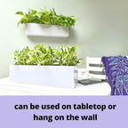 LaLaGreen Wall Planter (16 Inch, 2 Pack) Carbon Steel White Metal Hanging Flower Pot for Succulents, Wall Mount Rectangular Window Sill Box Fence Floating Garden Shelf for Deck Indoor Outdoor Decor