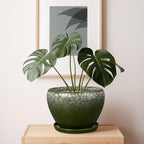 10 Inch Planter Pot - Ceramic Pots for Plants with Drainage Hole and Saucer, Round Large Flower Pot for Indoor Plants, Dark Green