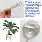 10 PCS Large Clear Plastic Watering Globes,Plant Self-Watering Bulbs,Flower Automatic Water Device,Garden Waterer for Plant Indoor Outdoor Plants Flowers
