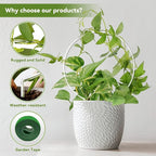 2 Pack Round Plant Trellis for Potted Plants Indoor Outdoor, Acrylic Small Trellis for Climbing Plants, Plant Support for Hoya Pothos Vine Ivy Monstera Flower Philodendrons Dischidia