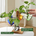 Terrarium Propagation Station, Heart Glass Vase with Wood Stand