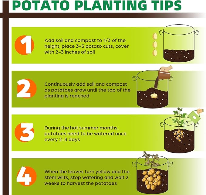 10 Pack 10 Gallon Grow Bags, Thickened Nonwoven Fabric Planter Pots with Handles, Heavy Duty 300G Garden Pots for Tomato, Potato and Vegetable
