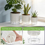 3 Pack Self Watering Pots for Indoor Plants, 4+5.5+6.3 Inch Self Watering Plant Pots, Flower Pots with Wick Rope and Reservoir - Black Stripes