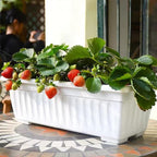6 Packs Window Box Planter, 17 Inches Flower Window Box Rectangular Plastic Vegetable Planters with Trays for Windowsill, Patio, Garden, Balcony, Porch White