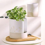 Nihow Self Watering Plant Pot: 8 Inch Ceramic Planter with Drainage Hole & Water Storage Plus for Indoor & Outdoor Plants - Cylinder Round Flower Pot for Succulent/Herbs/Violets - Nature & White