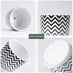 Ton Sin Plant Pots,5.5 Inch White Pots for Indoor Plants with Drainage Holes,Cylinder Flower Pot Ceramic Planters with Saucer,Cactus Succulent Outdoor Garden Pots Set of 4