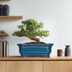 Bonsai Tree Pot - 13.7 Inch Large Ceramic Succulent Planter for Indoor Outdoor, Rectangle Plant Pot with Drainage Hole, Decorative Flower Pots, Home Decor, Gifts for Plant Lovers, Retro Blue