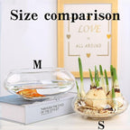 Glass Lotus Bowl Planter, Lotus Flower Bowl, Lotus Bowls for Planting in Water Indoors,Suitable for Succulent Plants and Aquatic Plant Bonsai Arrangements (S)