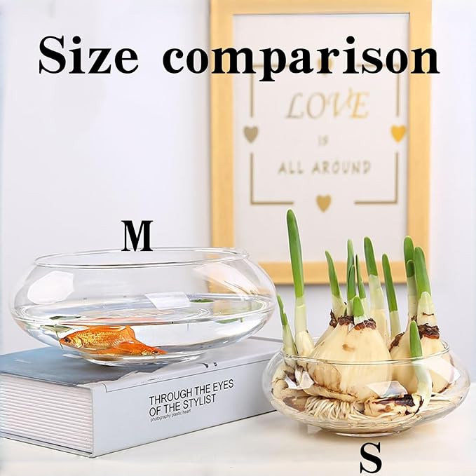 Glass Lotus Bowl Planter, Lotus Flower Bowl, Lotus Bowls for Planting in Water Indoors,Suitable for Succulent Plants and Aquatic Plant Bonsai Arrangements (S)
