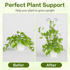 Larger 23.6in Plant Trellis for Climbing Plants Indoor Outdoor, 4 Pack Expandable Metal Trellis for Potted Plants - Sturdy Rustproof Plant Support for Pothos Ivy Hoya Monstera, Houseplant Decor