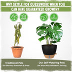 Self-Watering Pots for Indoor Plants 4 Pack, 6/8/10/12 Inch Outdoor Planters with Water Level Indicator&Deep Reservoir, Decorative Flower Pots for Indoor Plants,Home Decor (Black, 12+10+8+6 inch)