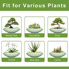 Ceramic Bonsai Pots - Large Succulent Planter 18 Inch Plant Pot Indoor Succulent Pot with Drainage Hole Outdoor Planter Bonsai Tree Pot for House Home Garden Decor Green