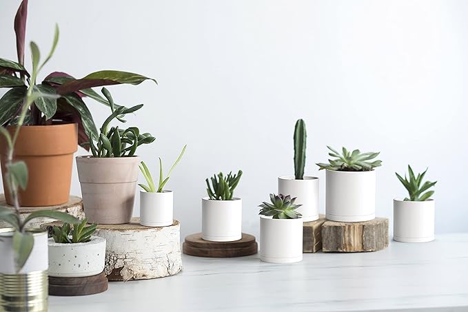 Planter Pots 12 Pack, 3 Inch Matte White Plastic with Saucers