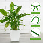4 Pcs Small Metal Trellis for Potted Plants,Gold Trellis for Climbing Plants Indoor,Mini Trellis for Potted Plant Support Stake House Plant Trellis for Garden Potted,Hoya,Pothos,Flower,Monstera(Green)
