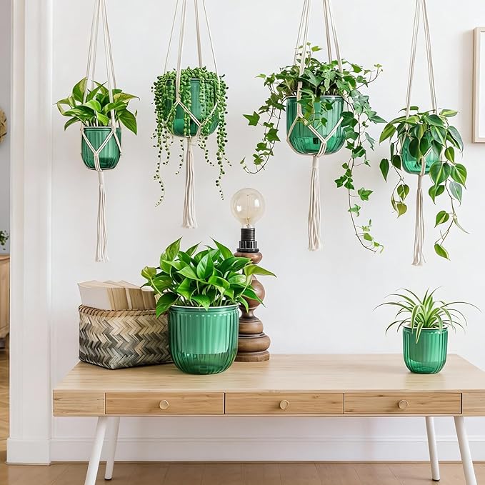 6 Pack Self Watering Hanging Planters Indoor Flower Pots(4.5"+6.5") Visible Water Level Markers 3 Hanging Ropes with Drainage Holes for Indoor Outdoor Garden Home Decor Supplies(Emerald)