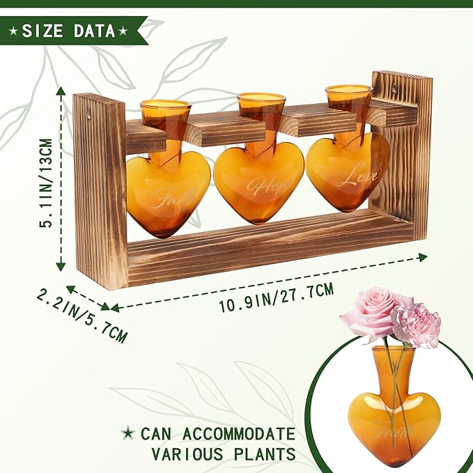 Terrarium Set with Heart-Shaped Glass Vases, Wood Stand, Amber