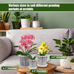 Orchid Pot with Saucers, 2 Each of 4.3",5.5",6.1" Orchid Pots with Holes, 6Pcs Clear Plastic Planter for Indoor Outdoor Plants (2 Each of 4.3,5.5",6.1" with Saucers)