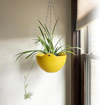 Bvrbaory 8 Pack Multicolor Hanging Planter Pots,8 Colors Garden Hanging Planters,Round Hanging Basket Pot for Indoor Outdoor Garden,Home Decor,with Water Tray Metal Chain