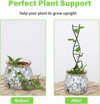 DNA Spiral Plant Trellis Indoor - Durable Metal Trellis for Potted Plants, Perfect for Small Houseplant Pots, Ideal for Ivy and Pothos, Space-Saving Vertical Support for Climbing Growth