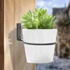 6 Pack 8 inch Flower Pot Holder Ring, Flower Pot Holder Ring Wall Mounted Set Wall Mounted Metal Planter Hanger Matte Black Hanging Plant Holder