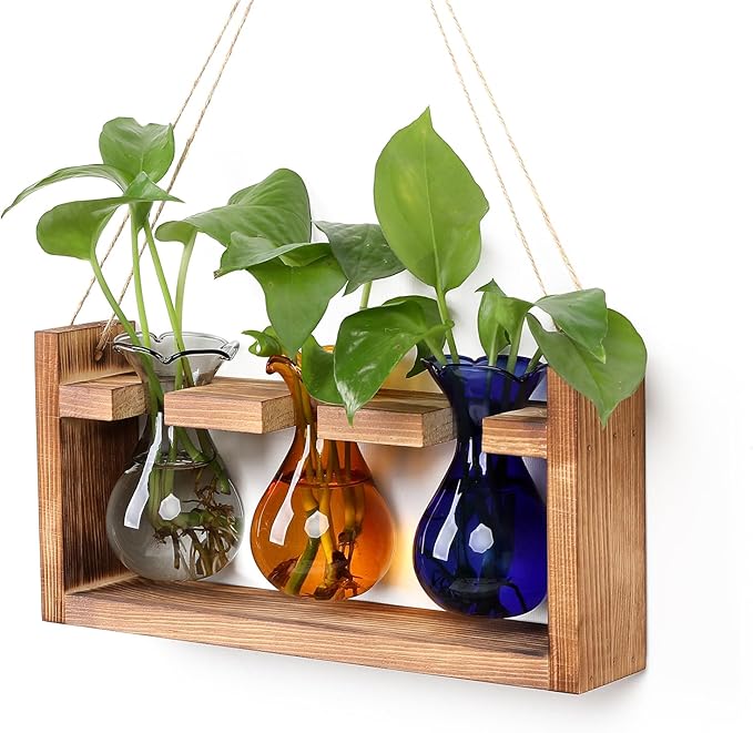 Terrarium Propagation Station with 3 Borosilicate Glass Bulbs and Wooden Stand