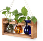 Terrarium Propagation Station with 3 Borosilicate Glass Bulbs and Wooden Stand
