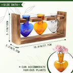 Terrarium Set with Heart Shaped Glass Vases and Wood Stand, 3 Pieces