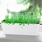 Window Box Planter with Tray, 12" Rectangle Plant Pot, Pack of 3 (White)