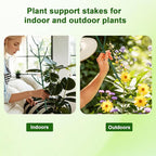 6 Pack Stackable Monstera Plant Support, Plant Stakes for Indoor and Outdoor Plants Use, Garden Stakes for Climbing and Potted Plants, Pothos, Philodendron