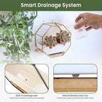 IRYL Wall Planter for Indoor Plants - Ceramic Wall Hanging Planter Set with Bamboo Tray & Hooks - Decorative Wall Plant Holder - Modern Wall Planters for Vertical Garden Home Decor - Golden