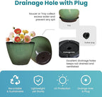 4 Pack 8 inch Plant Pots, Plastic Planter for Indoor Outdoor Plant with Drainage Holes and Saucers, Flower Pots for Garden Home Decor(Green, 4pcs)
