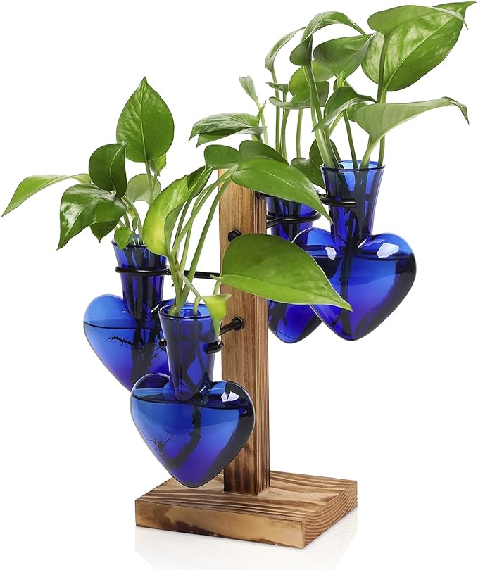 Terrarium Propagation Station, Heart Glass Vase with Wood Stand, Deep Blue
