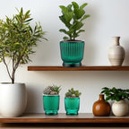 Set of 6 Self Watering Plant Pot 3 Sizes Plastic Double Layer Self Watering Flower Pot with Multi Mesh Drainage Holes Wicking Reservoir for Indoor Outdoor Garden Plants(Green)